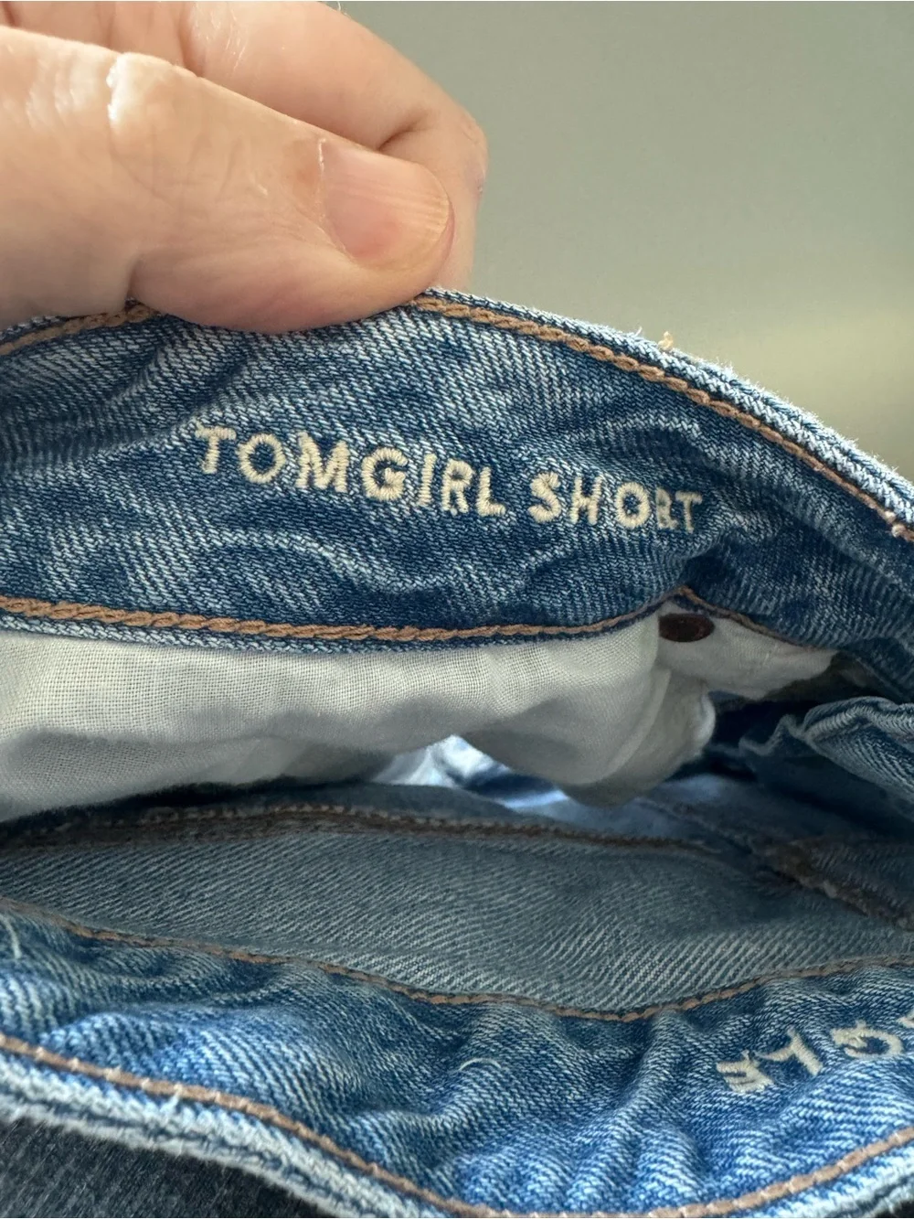 American Eagle Outfitters Tomgirl Short Distressed Denim Shorts - Blue
